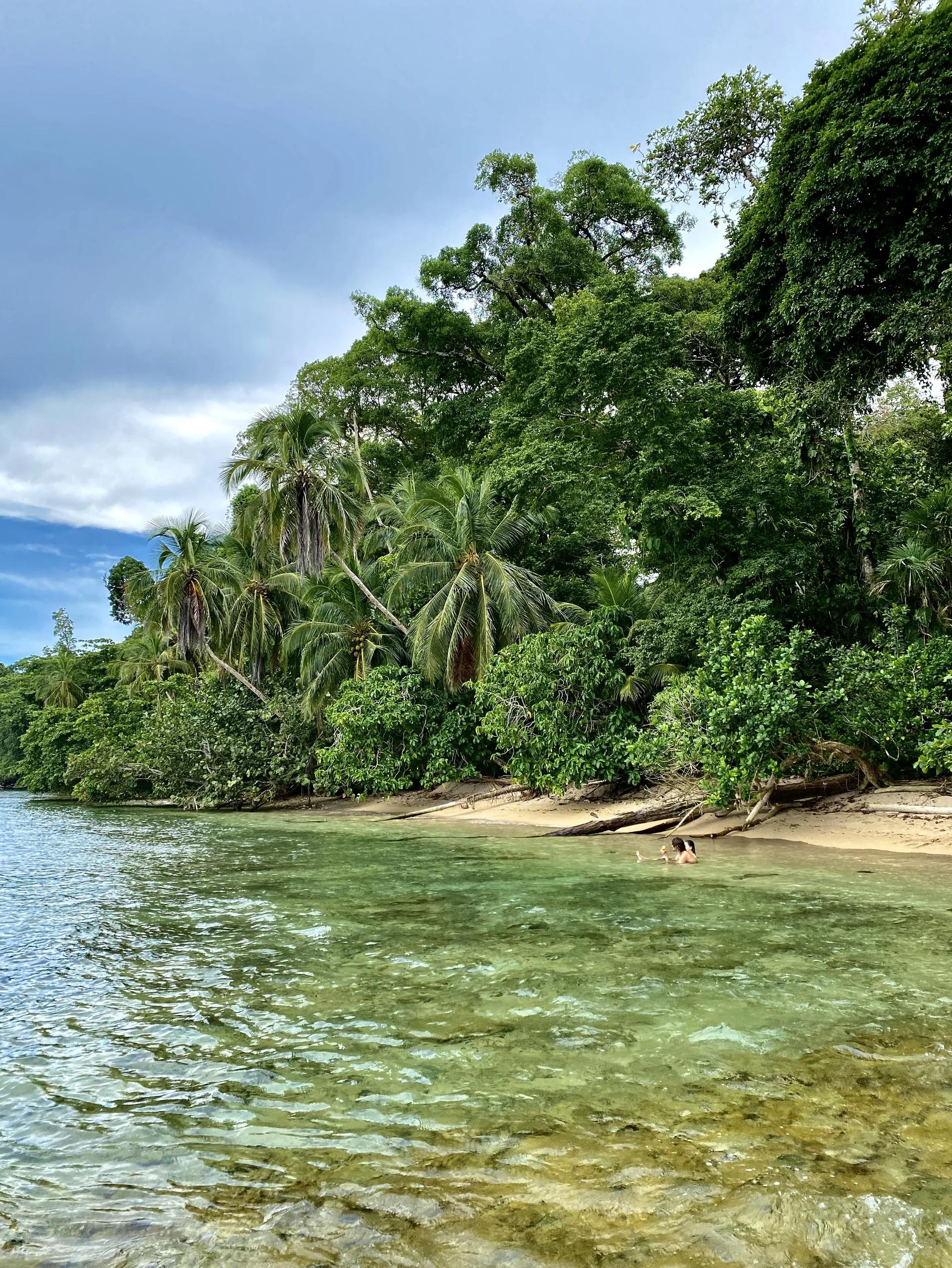 plage Rincon intimiste entre eau cristalline et jungle luxuriante, péninsule d'Osa, Costa Rica