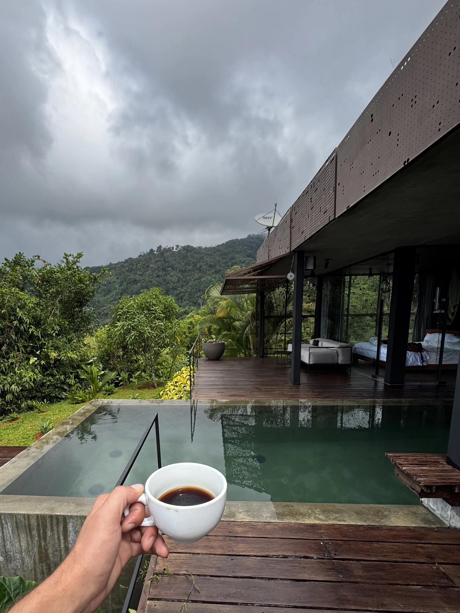 tasse de café au premier plan avec piscine et logement confort au coeur d'une végétation luxuriante après un orage tropical