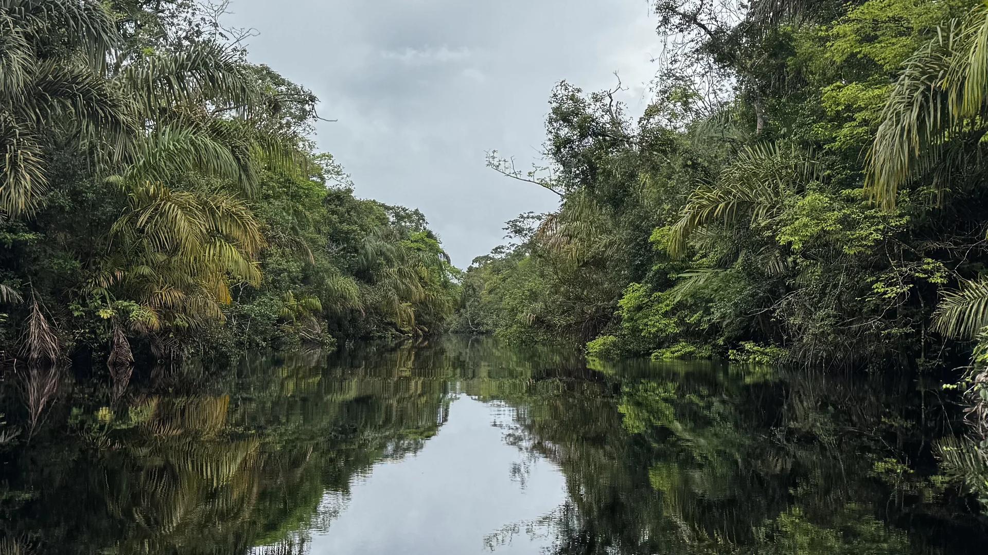 Effet miroir sur les canaux de tortuguero