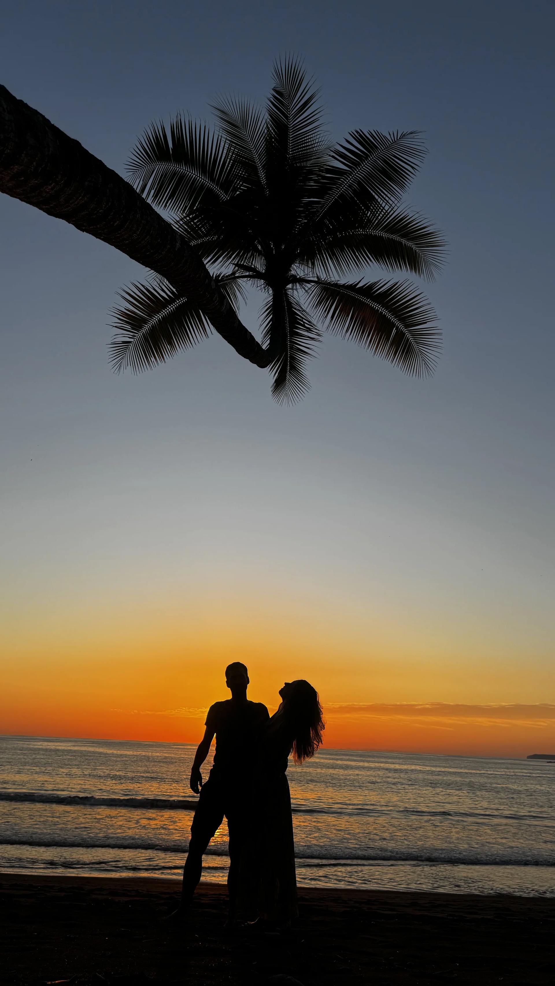 Coucher de soleil romantique avec les ombres d'un couple sous un palmier