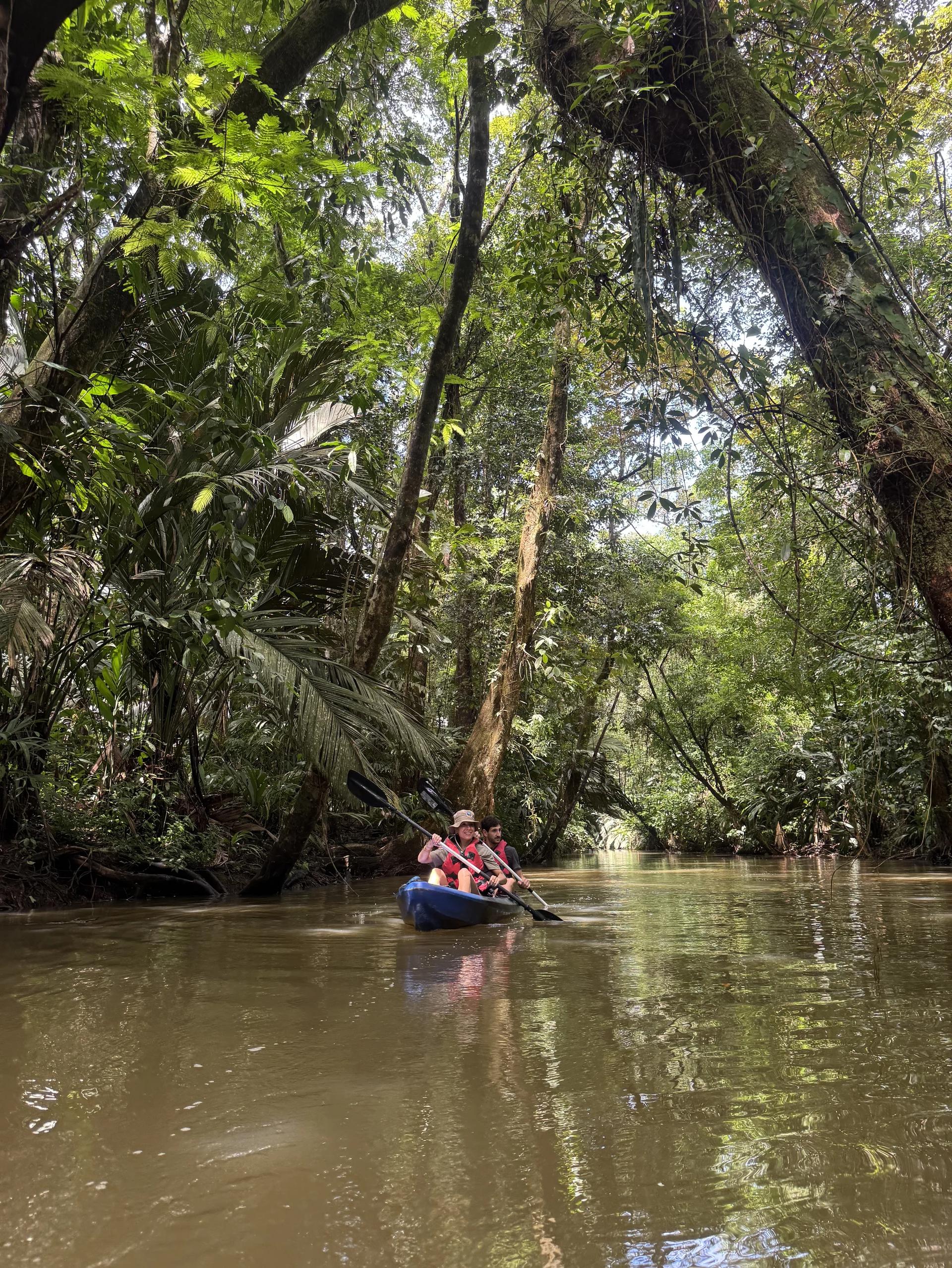 couple dans un canoe kayak au coeur des canaux méconnus du parc national tortuguero