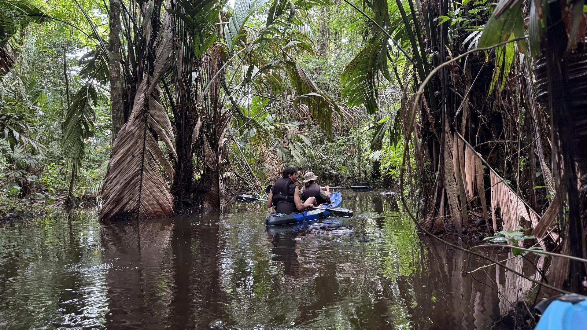 couple dans un canoe kayak au coeur des canaux méconnus du parc national tortuguero