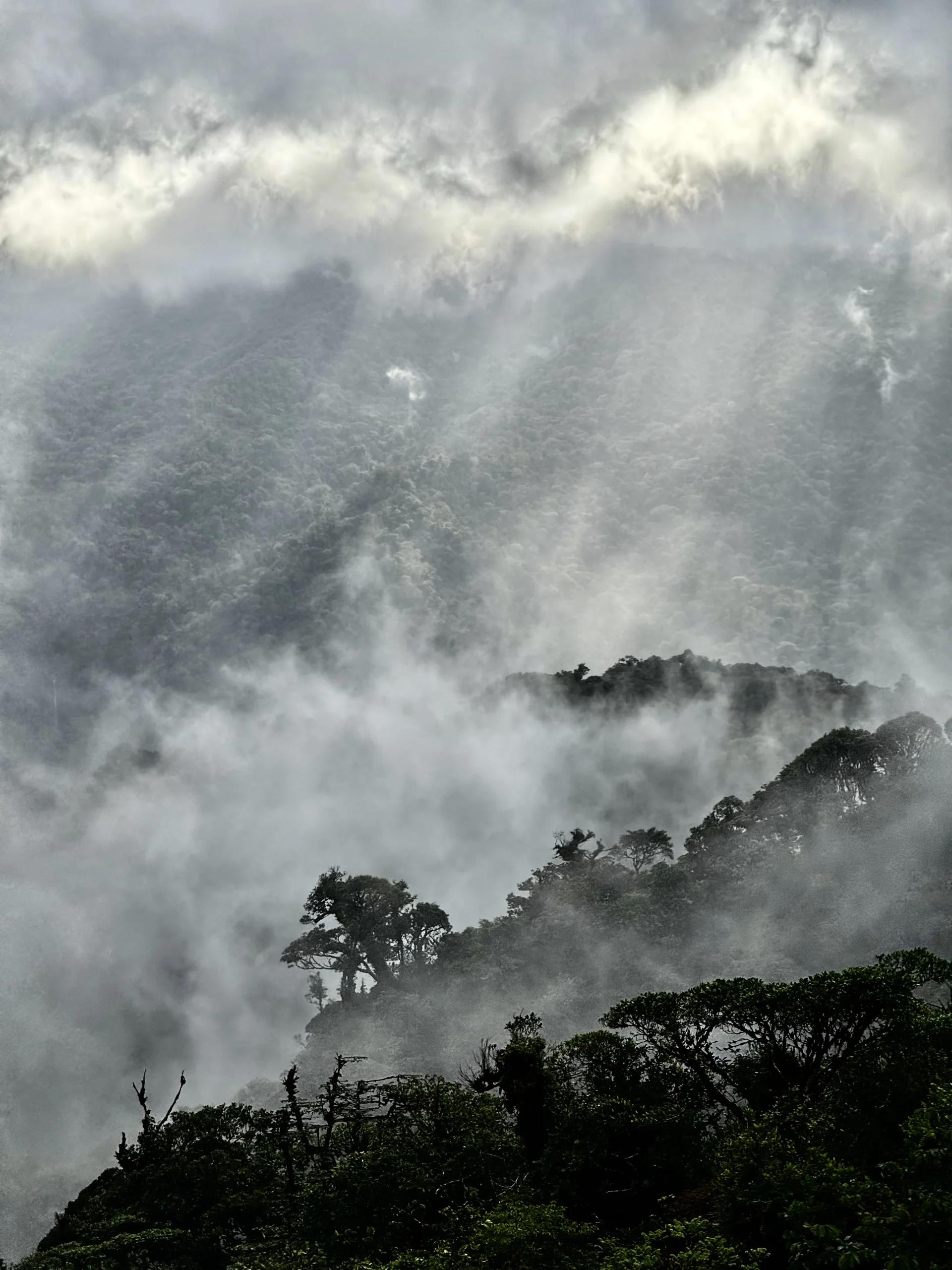 foret nuageuse du Costa Rica et rayon de soleil
