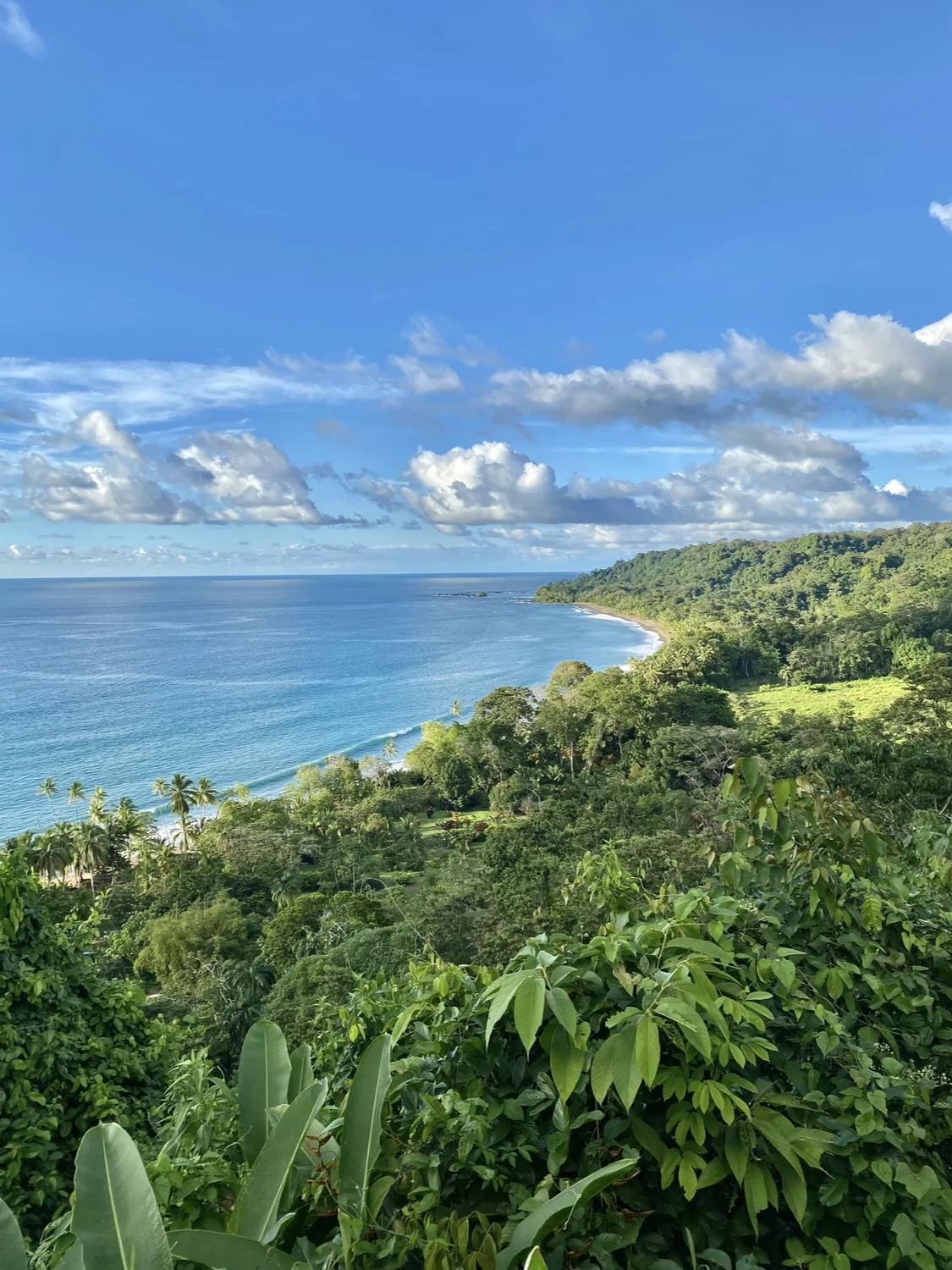 Vue sur la forêt tropicale et l'océan Pacifique